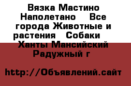 Вязка Мастино Наполетано  - Все города Животные и растения » Собаки   . Ханты-Мансийский,Радужный г.